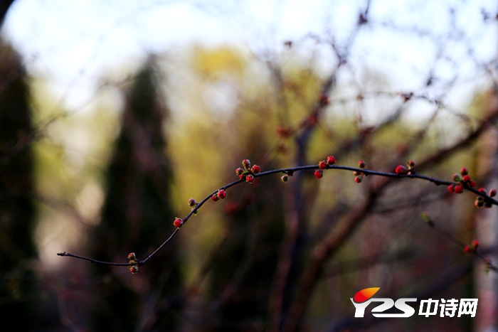 zzl032740.jpg